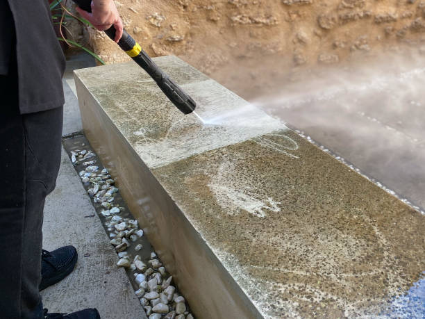 Best Exterior Home Cleaning  in Arlington Heights, IL