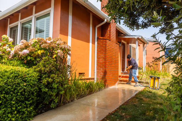 Best Affordable Power Washing  in Arlington Heights, IL